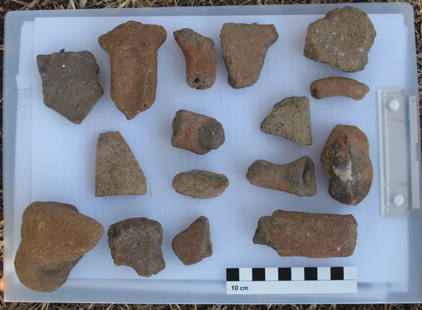 Some sherds visible on the surface. Photo: Anja Slawisch POI-1012, sherds on the surface