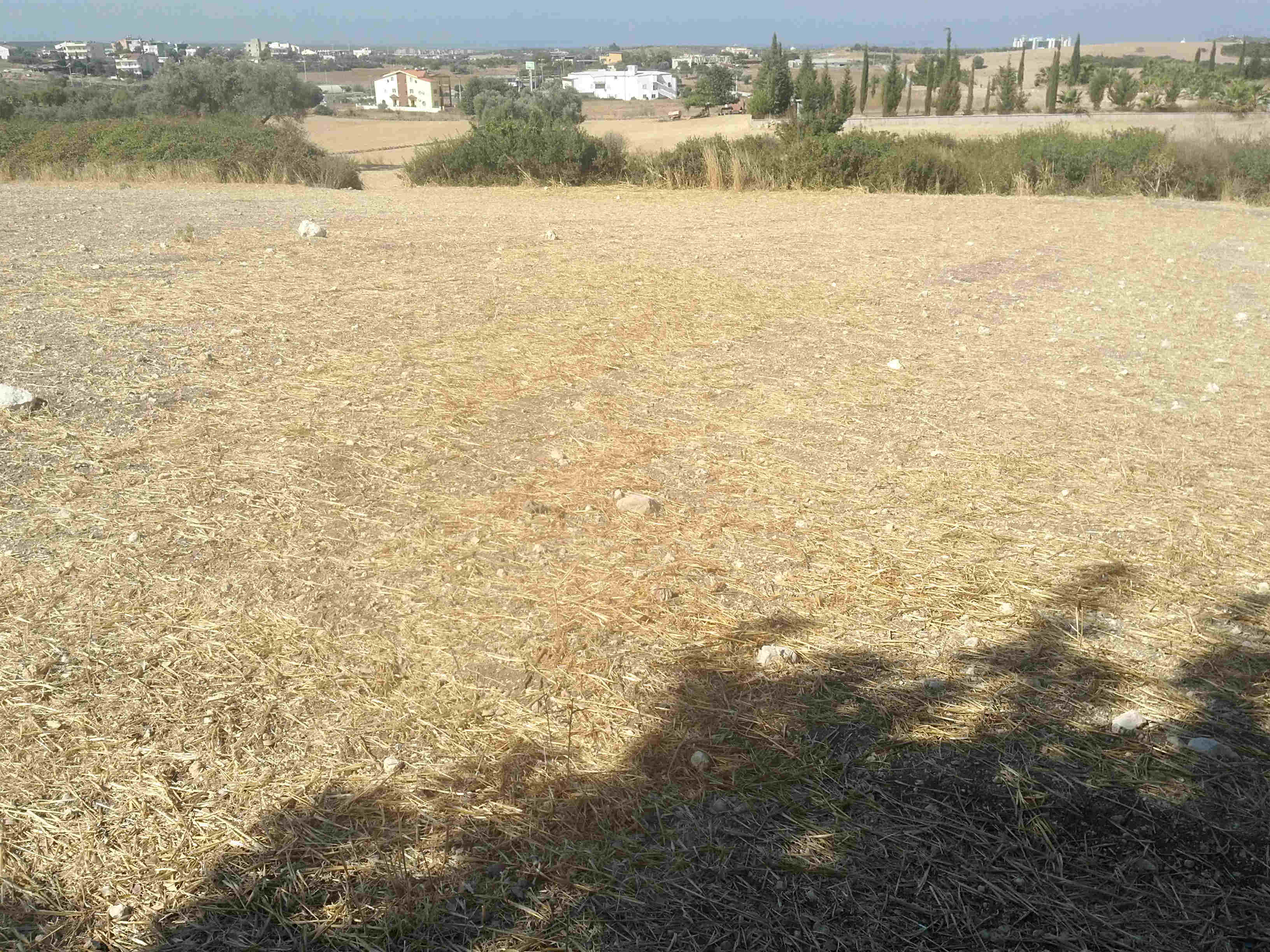 What we looked at during most of the day What we looked for most of the day