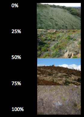Visibility by vegetation